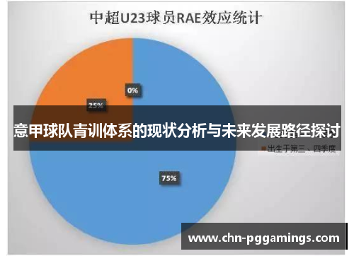 意甲球队青训体系的现状分析与未来发展路径探讨