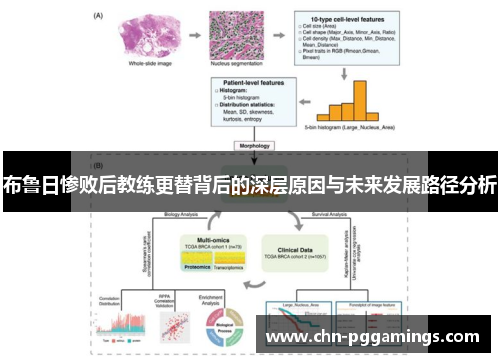 布鲁日惨败后教练更替背后的深层原因与未来发展路径分析