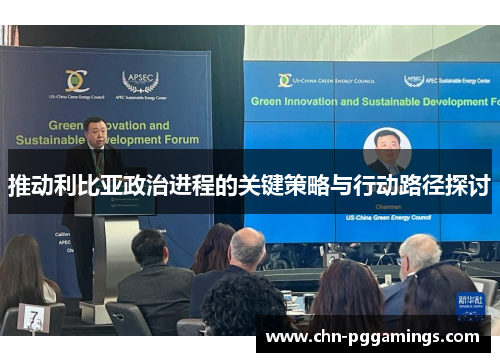 推动利比亚政治进程的关键策略与行动路径探讨
