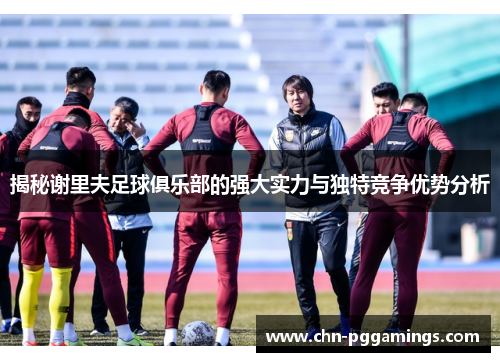 揭秘谢里夫足球俱乐部的强大实力与独特竞争优势分析