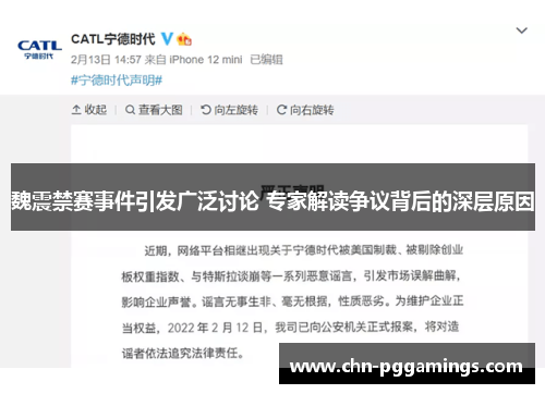 魏震禁赛事件引发广泛讨论 专家解读争议背后的深层原因
